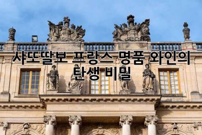 샤또딸보: 프랑스 명품 와인의 탄생 비밀