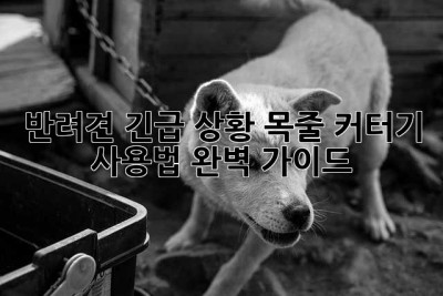 반려견 긴급 상황! 목줄 커터기 사용법 완벽 가이드