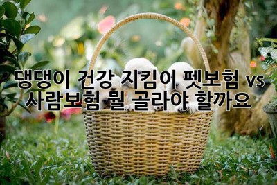댕댕이 건강 지킴이, 펫보험 vs 사람보험? 뭘 골라야 할까요? 🤔