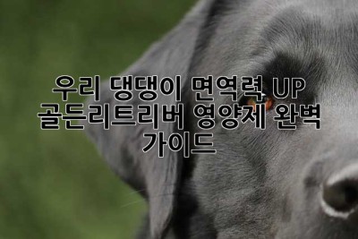 우리 댕댕이, 면역력 UP! 골든리트리버 영양제 완벽 가이드
