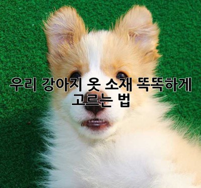 우리 강아지, 옷 소재 똑똑하게 고르는 법🐶