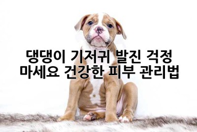 댕댕이 기저귀 발진? 걱정 마세요! 건강한 피부 관리법🐶