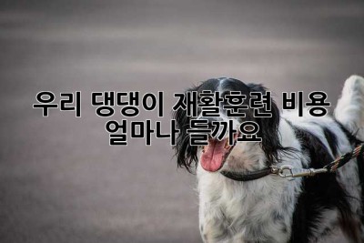 우리 댕댕이, 재활훈련 비용 얼마나 들까요? 😭