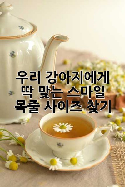 우리 강아지에게 딱 맞는 스마일 목줄 사이즈 찾기🐶