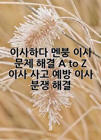 🤯이사하다 멘붕?!🤯 이사 문제 해결 A to Z (이사 사고 예방, 이사 분쟁 해결)